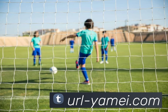 亚美体育品牌故事