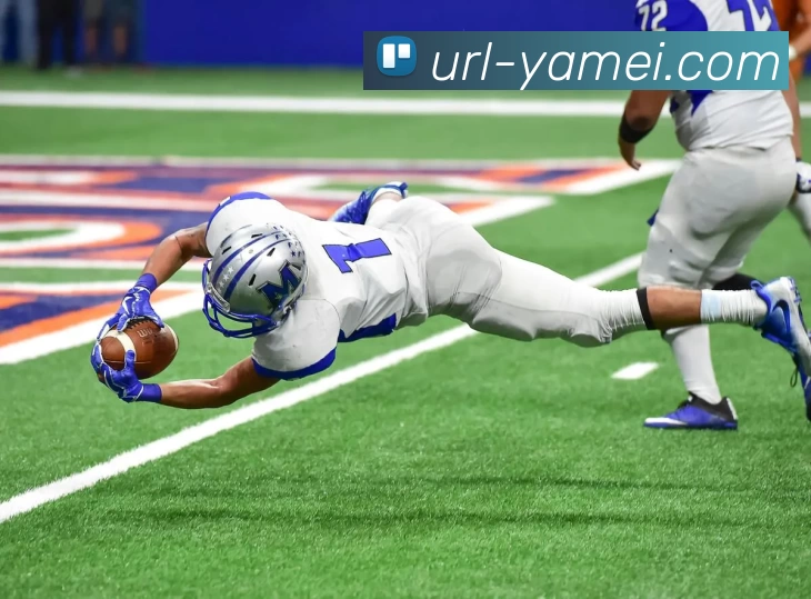 亚美体育服务体系